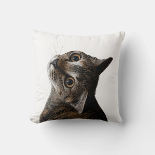 Süße getigerte Katze Nahaufnahme Foto  Kissen