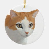 Süße getigerte Katzenkunst Keramik Ornament (Vorne)