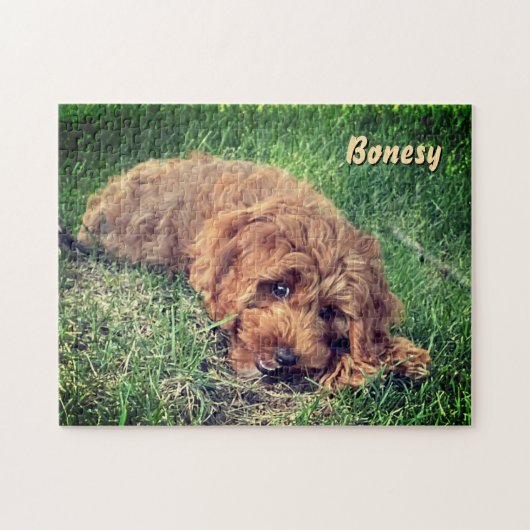 Süße Golden Doodle 11x14 Puzzle (Horizontal)