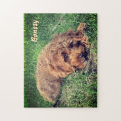 Süße Golden Doodle 11x14 Puzzle (Vertikal)