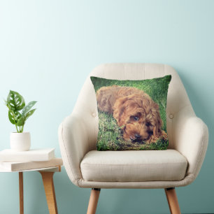 Süße Golden Doodle Kissen