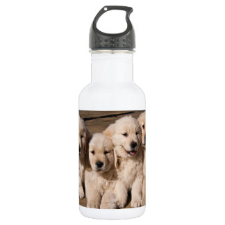 Süße golden retriever-Welpen Trinkflasche