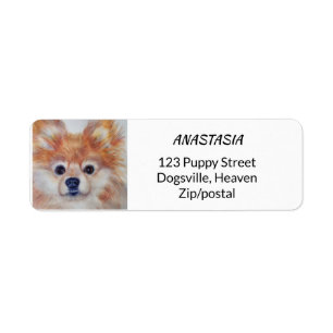 SÜSSE-GOLDENER SPITZ