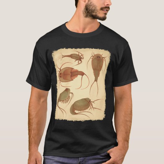 Süße Goldfisch-Packung T-Shirt (Vorderseite)