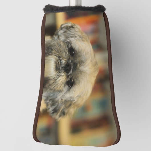 Süsse Golf Headcover (Rotieren 90)