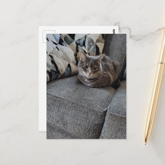 Süße graue getigerte Katze Postkarte (Vorderseite/Rückseite Beispiel)