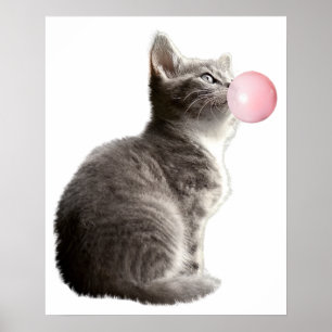 Süße Graue Kätzchen Katze Bubble Gum Kinderzimmer  Poster