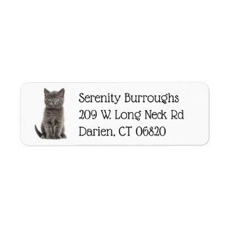 Süße graue Kitty-Katze Katzenliebhaber Graue Kätzc
