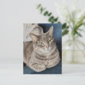 Süße Graue Tabby-Katze Postkarte (Stehend Vorderseite)