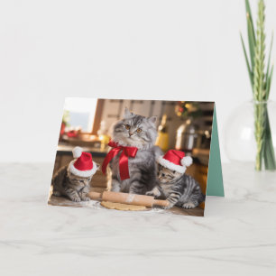 Süße Graue Tabby-Weihnachtsplätzchen-Karte Karte