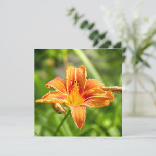 Süße große Lilienblumenfoto