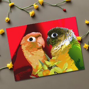 Süße Grünwangen-Sittiche in Liebe Papageien Postkarte