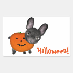 Süße Halloween-Bulldogge-Rechteck-Aufkleber, Glänz Rechteckiger Aufkleber