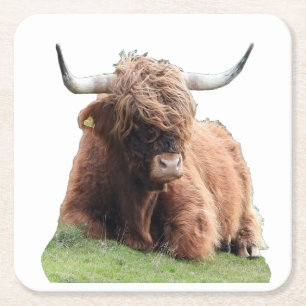 Süße Highland Moo Kuh Rustikaler schottischer Rind Rechteckiger Pappuntersetzer