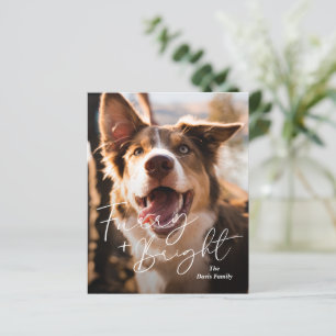 Süße Hund Foto Moderne Budget Weihnachtskarte