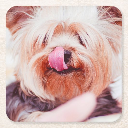 Süße Hund Untersetzer 5 (Vorderseite)