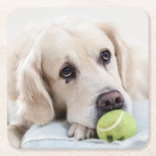 Süße Hund Untersetzer 7