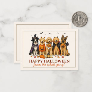 Süße Hunde in Kostümen Halloween Mitteilungskarte