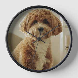 Süße Hundeuhr Uhr