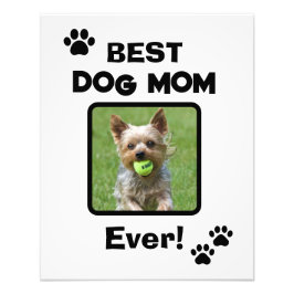 Süße individualisierte beste Hund Katze Mama Mutti Fotodruck