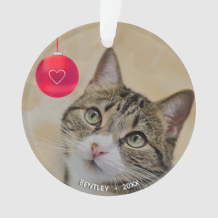 Süße individuelle getigerte Katze mit Weihnachtsba Ornament