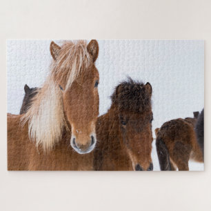 Süße isländische Pferde zusammen Puzzle