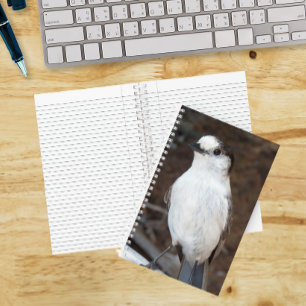 Süße Kanada-Jay-Natur-Foto Notizblock