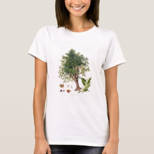 Süße Kastanie, graviert von A. Haase (Farbelitho T-Shirt