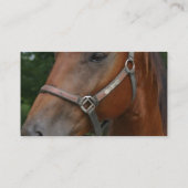 Süße Kastanien-PferdeVisitenkarten Visitenkarte (Rückseite)