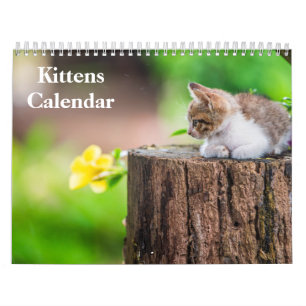 Süße Kätzchen 2027 Bengaltiger Kalender