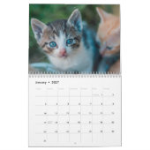 Süße Kätzchen 2027 Bengaltiger Kalender (Jan 2027)