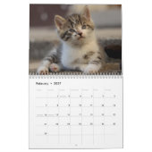 Süße Kätzchen 2027 Bengaltiger Kalender (Feb 2027)
