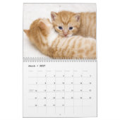 Süße Kätzchen 2027 Kalender (Mär 2027)