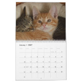 Süße Kätzchen 2027 Kalender (Jan 2027)