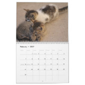 Süße Kätzchen 2027 Kalender (Feb 2027)