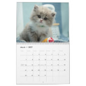 Süße Kätzchen 2027 Kalender (Mär 2027)