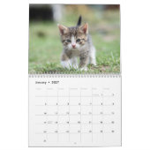 Süße Kätzchen 2027 Kalender (Jan 2027)