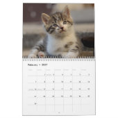 Süße Kätzchen 2027 Kalender (Feb 2027)