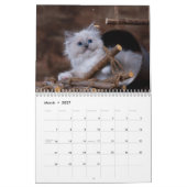 Süße Kätzchen 2027 Kalender (Mär 2027)