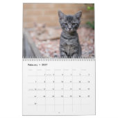 Süße Kätzchen 2027 Kalender (Feb 2027)