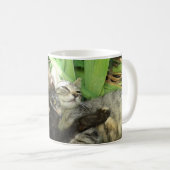 Süße Kätzchen kuscheln Kaffeetasse (VorderseiteRechts)