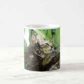 Süße Kätzchen kuscheln Kaffeetasse (Mittel)