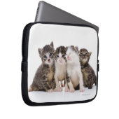 Süße Kätzchen Laptopschutzhülle (Vorne Rechts)