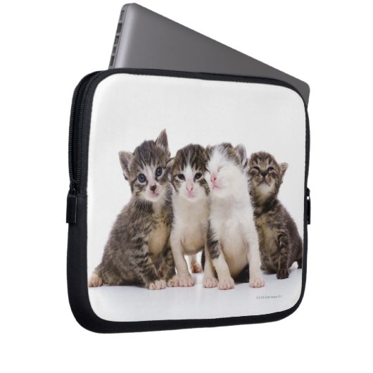 Süße Kätzchen Laptopschutzhülle (Vorne Rechts)