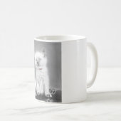 Süße Kätzchen-Tasse Kaffeetasse (VorderseiteRechts)