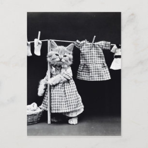 Süße Katze, die Wäsche in Kleidung Vintage-Druck m Postkarte