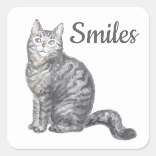 Süße Katze Grau Silber Tabby Kätzchen Kitty Hallo Quadratischer Aufkleber