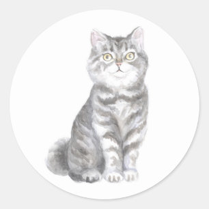 Süße Katze Graue Silber-Tabby-Kätzchen Katzenliebh Runder Aufkleber