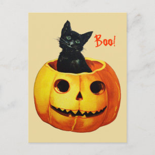 Süße Katze im Kürbis Vintage-Halloween-Postkarte Postkarte