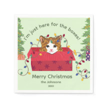 Süße Katze in einer Schachtel Hier wegen der Schac